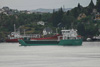 Arklow Falcon