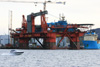 MSV Regalia