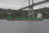 Arklow Venus