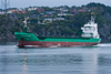 Arklow Viking