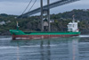 Arklow Viking