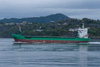 Arklow Viking