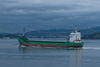 Arklow Viking