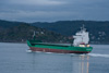 Arklow Viking