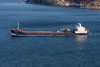Kongsvaag