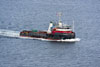 Odyssea Duke