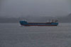 Wilson Elbe