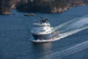 Island Valiant