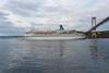 Albatros