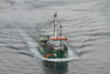 Arctic Sunrise