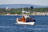 Firkløveren