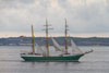 Alexander von Humboldt II