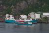 Bergen Tank & Bergen Viking