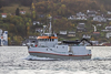 Solvik