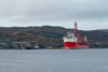 West Navigator & Bulk Carrier