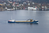 Bulk Carrier