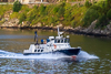 Øyglimt