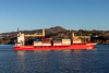 RS Mistral