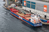 Frisian Sea