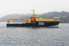 SD Victoria