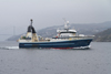 Kongsfjord