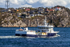 Seigrunn