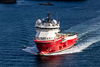 Petrel Explorer